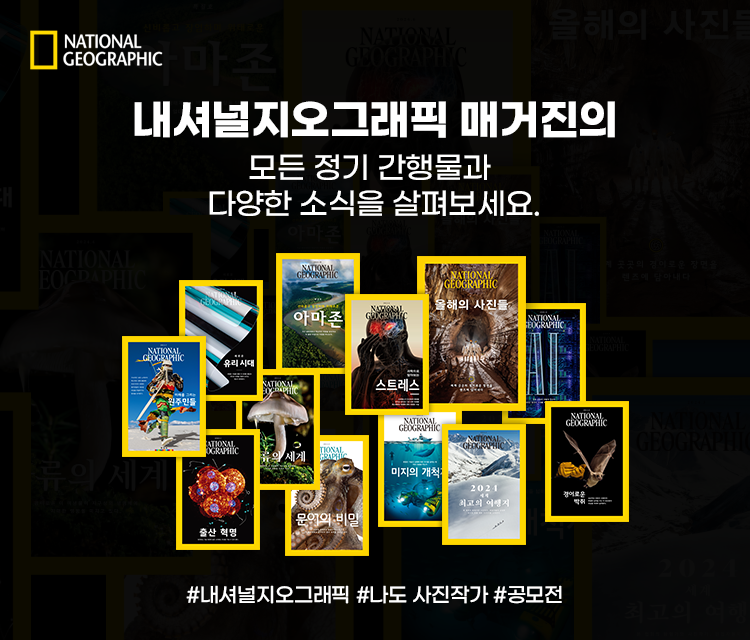 내셔널지오그래픽키즈매거진